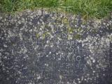 image of grave number 915792